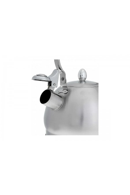 Чайник из нержавеющей стали Webber ВЕ-0560 2 л (серебристый) 3