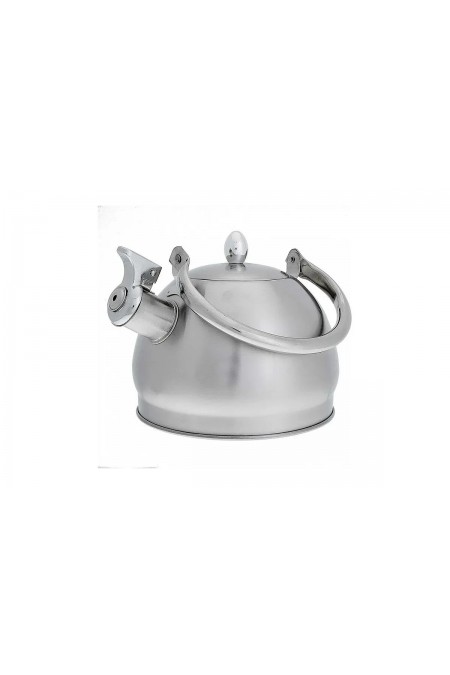 Чайник из нержавеющей стали Webber ВЕ-0560 2 л (серебристый) 4