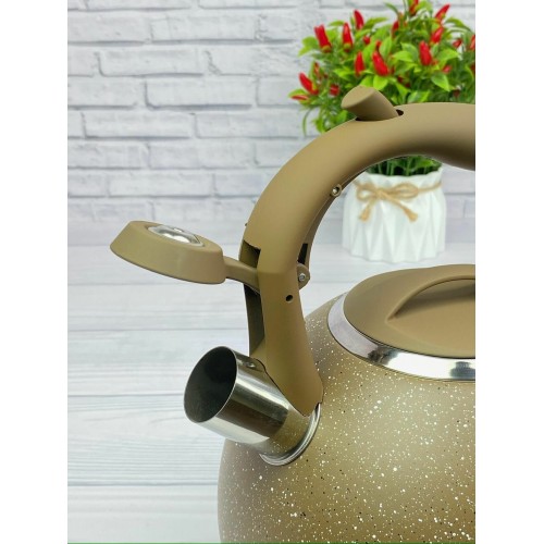 Чайник из нержавеющей стали Zeidan Z-4135 3.5 л (коричневый) 4