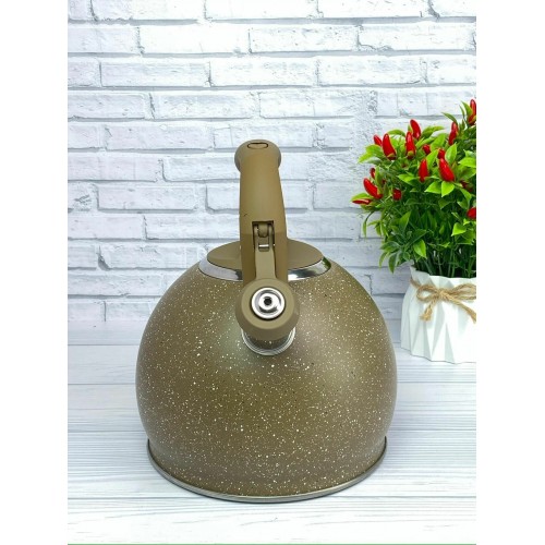 Чайник из нержавеющей стали Zeidan Z-4135 3.5 л (коричневый) 6