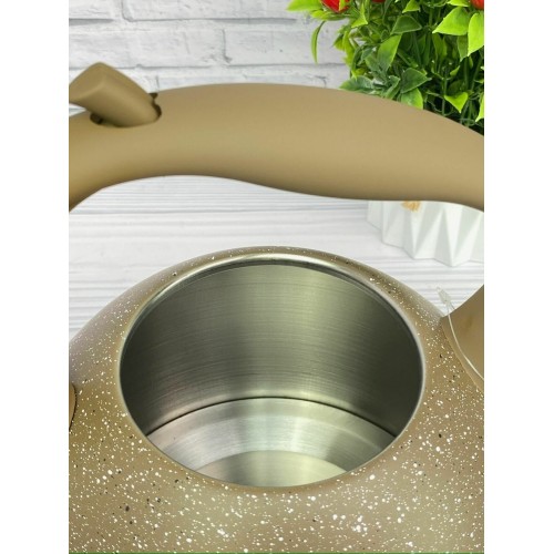 Чайник из нержавеющей стали Zeidan Z-4135 3.5 л (коричневый) 9