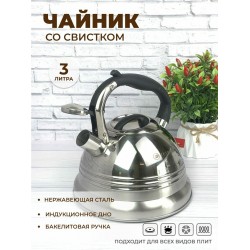 Чайник из нержавеющей стали Zeidan Z-4155 3 л (серебристый)