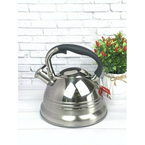 Чайник из нержавеющей стали Zeidan Z-4155 3 л (серебристый) 1