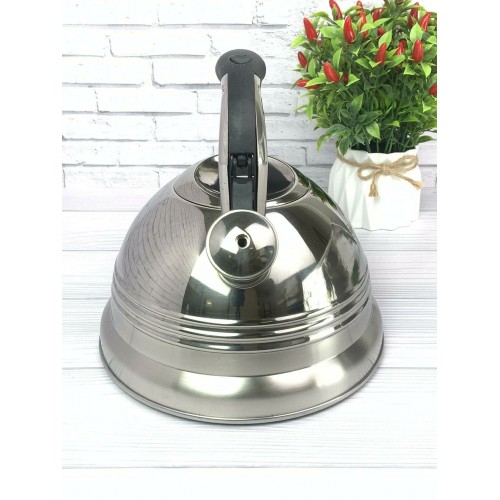 Чайник из нержавеющей стали Zeidan Z-4155 3 л (серебристый) 2