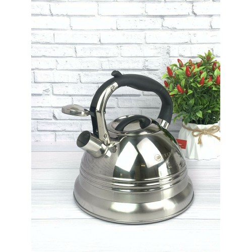 Чайник из нержавеющей стали Zeidan Z-4155 3 л (серебристый) 3
