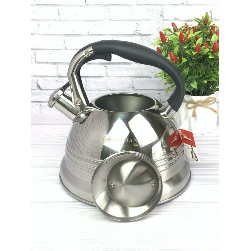 Чайник из нержавеющей стали Zeidan Z-4155 3 л (серебристый) 4