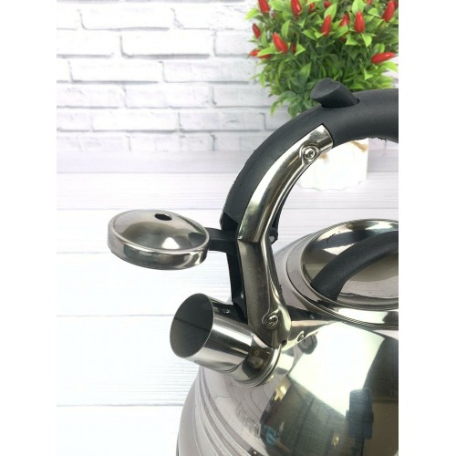 Чайник из нержавеющей стали Zeidan Z-4155 3 л (серебристый) 5