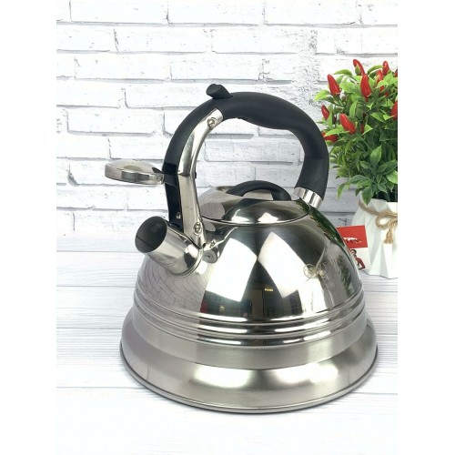 Чайник из нержавеющей стали Zeidan Z-4156 3 л (серебристый) 1