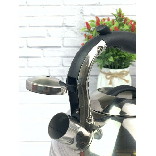 Чайник из нержавеющей стали Zeidan Z-4156 3 л (серебристый) 3