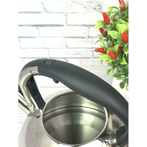 Чайник из нержавеющей стали Zeidan Z-4156 3 л (серебристый) 4