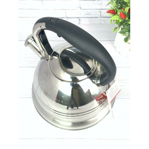 Чайник из нержавеющей стали Zeidan Z-4156 3 л (серебристый) 5