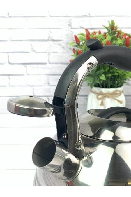 Чайник из нержавеющей стали Zeidan Z-4156 3 л (серебристый) 6