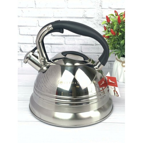 Чайник из нержавеющей стали Zeidan Z-4156 3 л (серебристый) 7