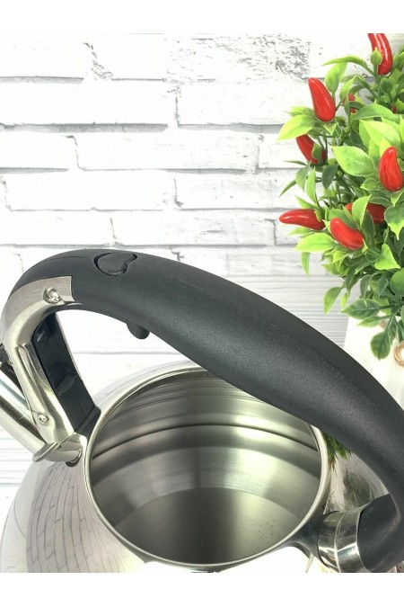 Чайник из нержавеющей стали Zeidan Z-4156 3 л (серебристый) 8