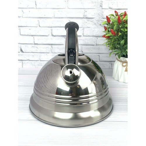 Чайник из нержавеющей стали Zeidan Z-4156 3 л (серебристый) 8