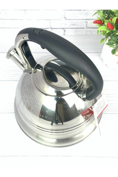 Чайник из нержавеющей стали Zeidan Z-4156 3 л (серебристый) 9