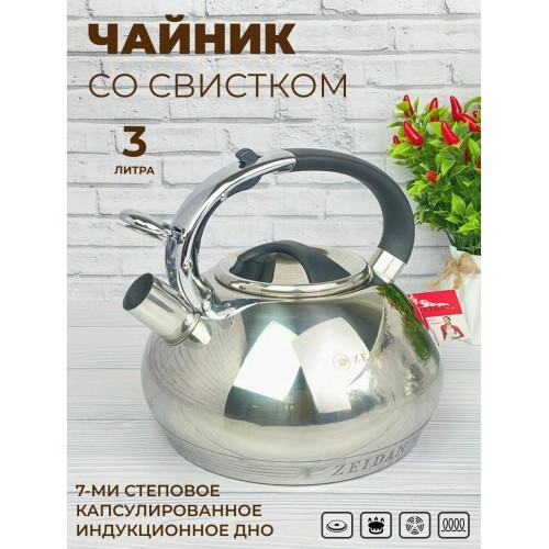 Чайник из нержавеющей стали Zeidan Z-4158 3.5 л (серебристый) 