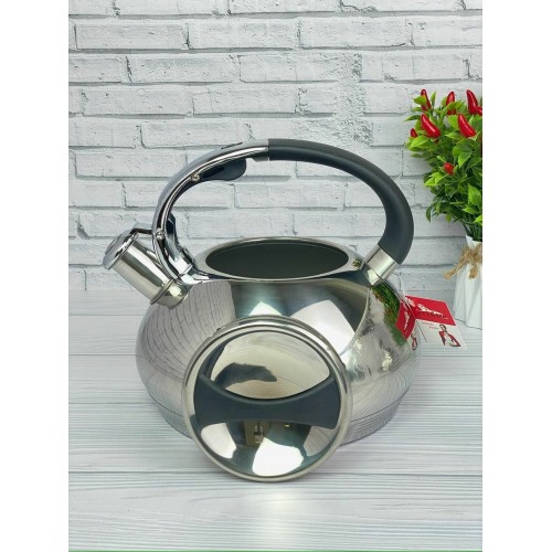 Чайник из нержавеющей стали Zeidan Z-4158 3.5 л (серебристый) 3