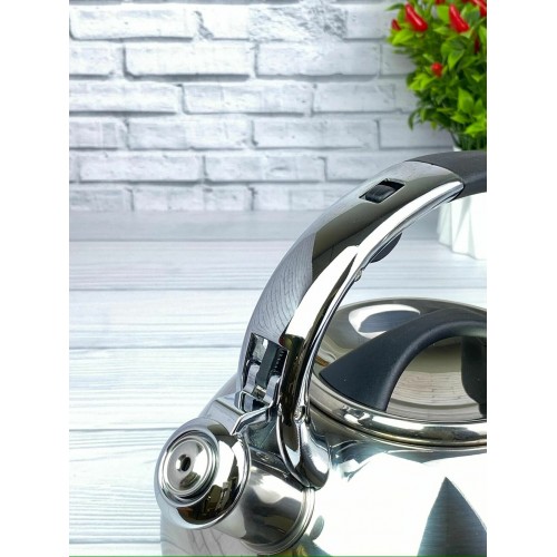 Чайник из нержавеющей стали Zeidan Z-4158 3.5 л (серебристый) 4