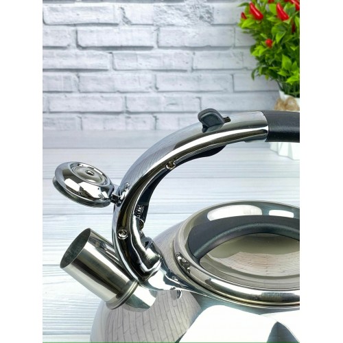 Чайник из нержавеющей стали Zeidan Z-4158 3.5 л (серебристый) 5