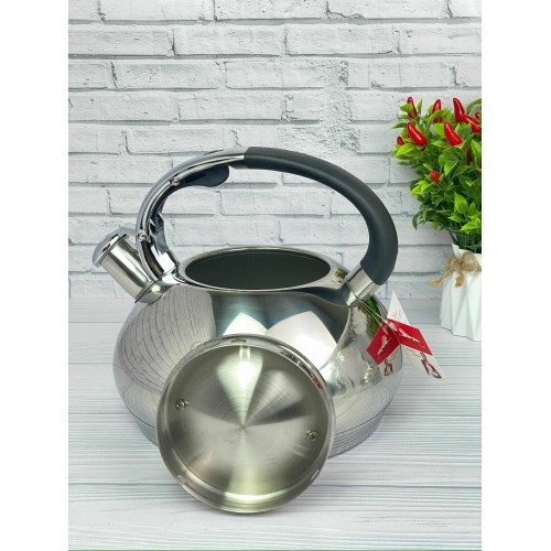 Чайник из нержавеющей стали Zeidan Z-4158 3.5 л (серебристый) 7