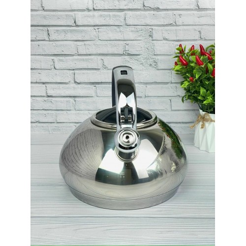Чайник из нержавеющей стали Zeidan Z-4158 3.5 л (серебристый) 8