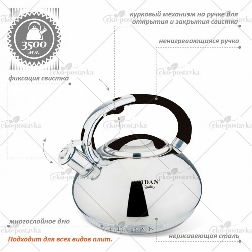 Чайник из нержавеющей стали Zeidan Z-4158 3.5 л (серебристый) 9