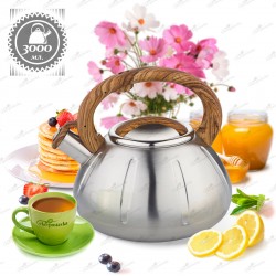 Чайник из нержавеющей стали Zeidan Z-4169 3 л (серебристый)