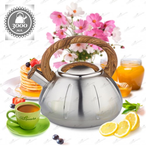 Чайник из нержавеющей стали Zeidan Z-4169 3 л (серебристый) 