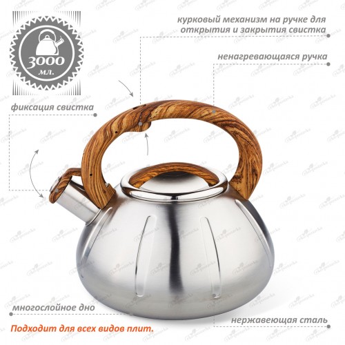 Чайник из нержавеющей стали Zeidan Z-4169 3 л (серебристый) 1