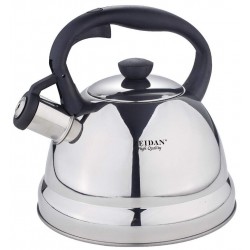 Чайник из нержавеющей стали Zeidan Z-4214 3 л (серебристый)