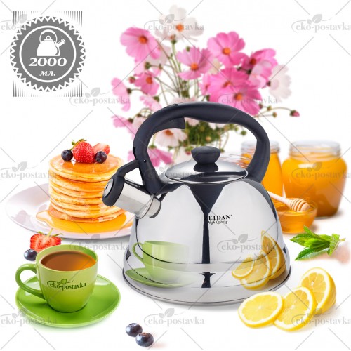 Чайник из нержавеющей стали Zeidan Z-4214 3 л (серебристый) 1