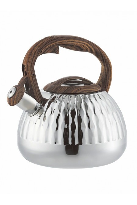 Чайник из нержавеющей стали Zeidan Z-4519 3 л (серебристый) 