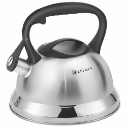 Чайник из нержавеющей стали Zeidan Z-4524 3 л (серебристый)
