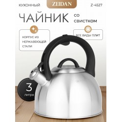 Чайник из нержавеющей стали Zeidan Z-4527 3 л (серебристый)