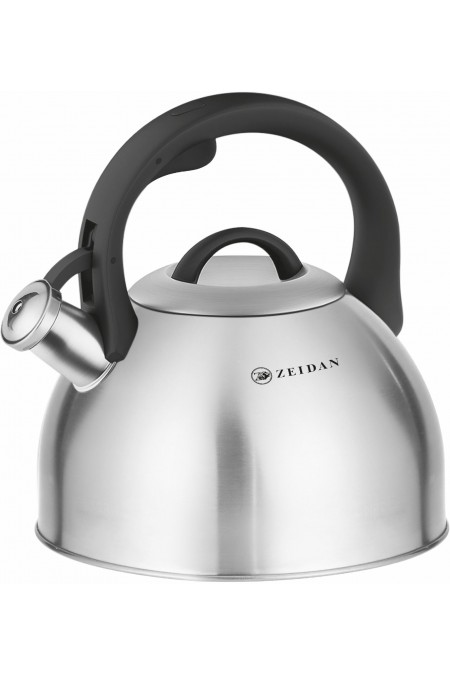 Чайник из нержавеющей стали Zeidan Z-4527 3 л (серебристый) 