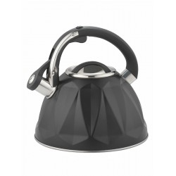 Чайник из нержавеющей стали Zeidan Z-4543 3 л (черный)