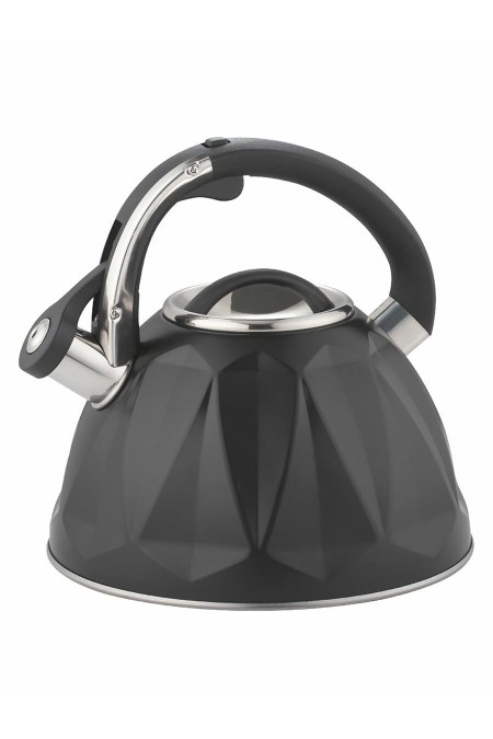 Чайник из нержавеющей стали Zeidan Z-4543 3 л (черный) 