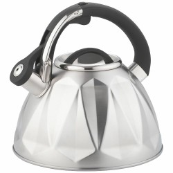 Чайник из нержавеющей стали Zeidan Z-4544 3 л (серебристый)