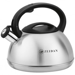 Чайник из нержавеющей стали Zeidan Z-4548 3 л (серебристый)