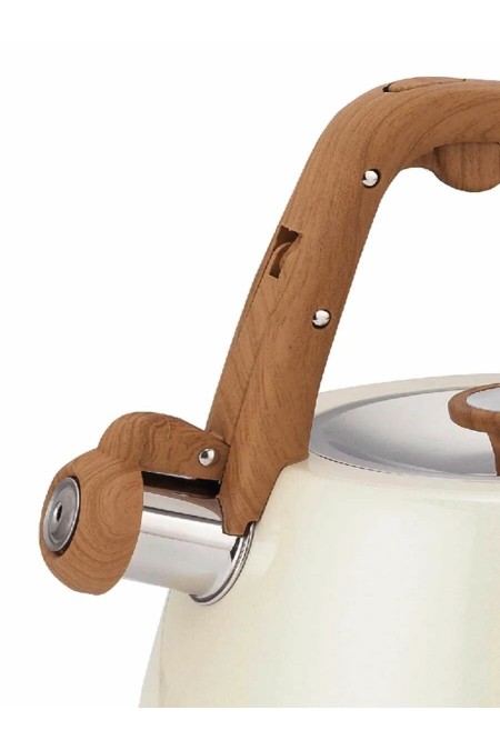 Чайник из нержавеющей стали Zeidan Z-4553 3 л (слоновая кость) 1