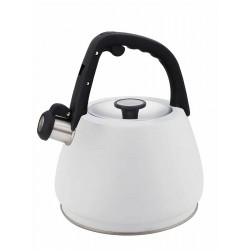 Чайник из нержавеющей стали Zeidan Z-4554 3 л (белый)