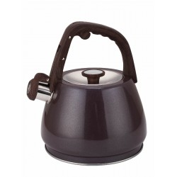 Чайник из нержавеющей стали Zeidan Z-4555 3 л (мокко)