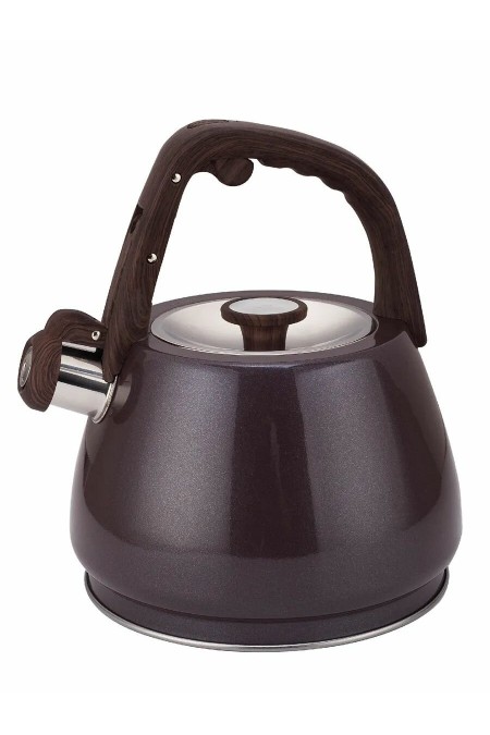Чайник из нержавеющей стали Zeidan Z-4555 3 л (мокко) 