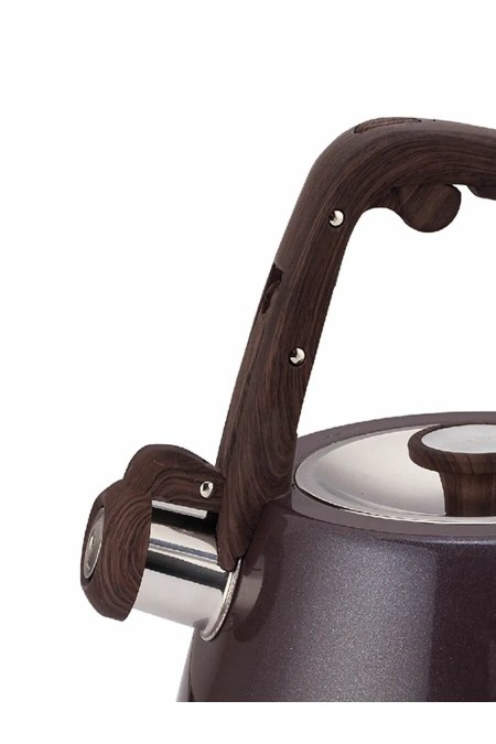 Чайник из нержавеющей стали Zeidan Z-4555 3 л (мокко) 1