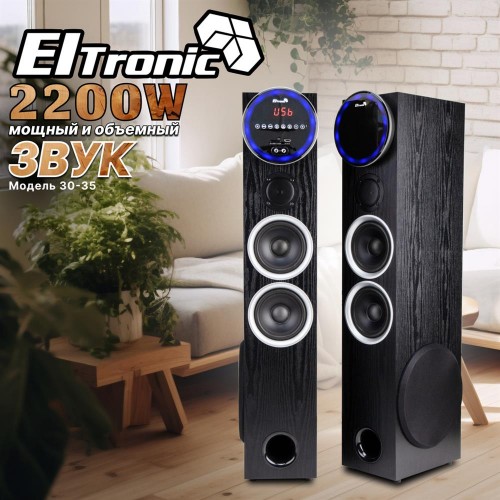 Акустическая система Eltronic 10 30-35 Home Sound (черный) 3