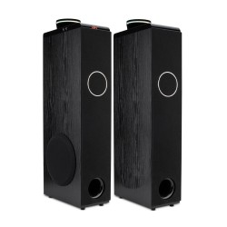 Акустическая система ELTRONIC 08 (30-50) HOME SOUND (черный)