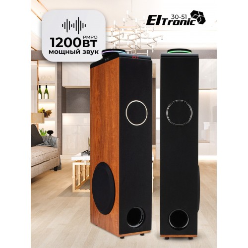 Акустическая система ELTRONIC 08 (30-51) HOME SOUND (бук) 