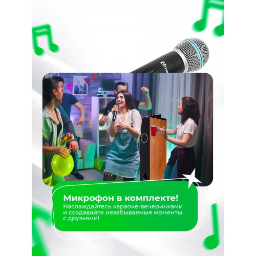 Акустическая система ELTRONIC 08 (30-51) HOME SOUND (бук) 1