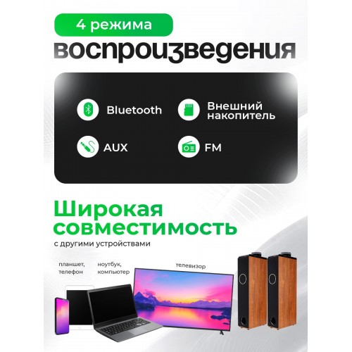 Акустическая система ELTRONIC 08 (30-51) HOME SOUND (бук) 2